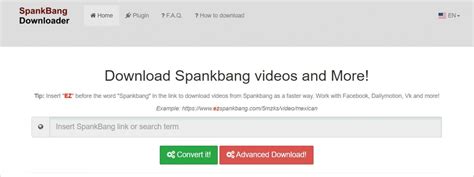 10 Best SpankBang Downloaders Review: Enjoy SpankBang.